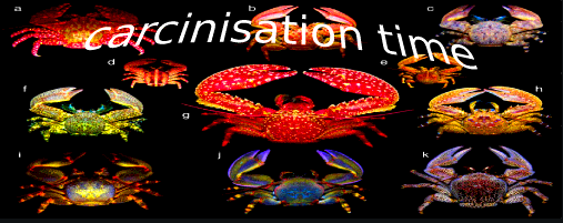A meme image of crabs, with the word carcinisation written in WordArt text